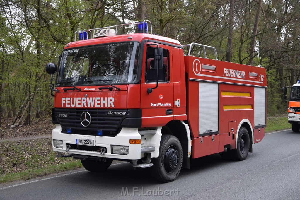 Waldbrand Wahner Heide Troisdorf Eisenweg P237.JPG - Miklos Laubert